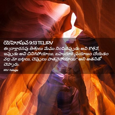 Picture 02 - యెహోషువ 9:13 TELIRV - ఈ ద్రాక్షారసపు - Bible Verse Picture