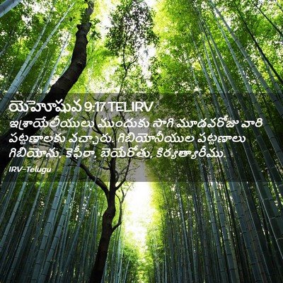 Picture 02 - యెహోషువ 9:17 TELIRV - ఇశ్రాయేలీయులు - Bible Verse Picture