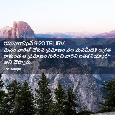 Picture 02 - యెహోషువ 9:20 TELIRV - మనం వారితో చేసిన - Bible Verse Picture