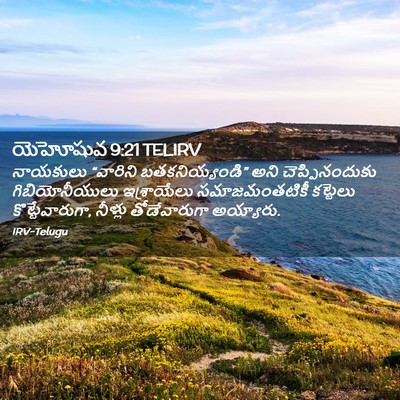 Picture 02 - యెహోషువ 9:21 TELIRV - నాయకులు “వారిని - Bible Verse Picture