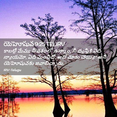 Picture 02 - యెహోషువ 9:25 TELIRV - కాబట్టి మేము నీ - Bible Verse Picture