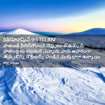 Picture 02 - యెహోషువ 9:5 TELIRV - పాతబడి - Bible Verse Picture