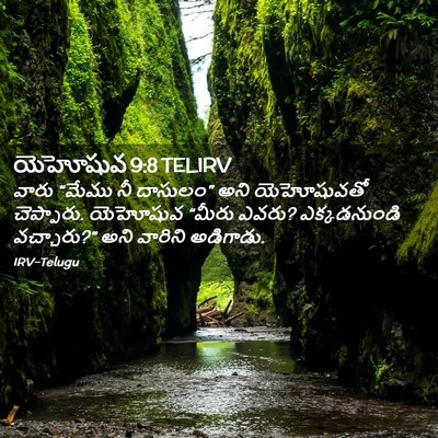 Picture 02 - యెహోషువ 9:8 TELIRV - వారు “మేము నీ - Bible Verse Picture