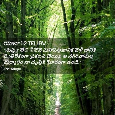 Picture 02 - యోనా 1:2 TELIRV - “నువ్వు లేచి - Bible Verse Picture