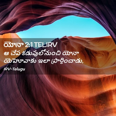 Picture 02 - యోనా 2:1 TELIRV - ఆ చేప - Bible Verse Picture