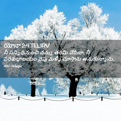 Picture 02 - యోనా 2:4 TELIRV - నీ సన్నిధినుంచి - Bible Verse Picture