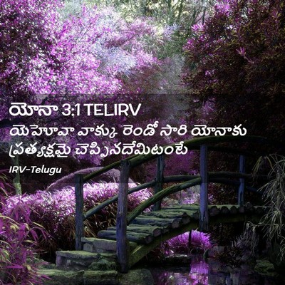 Picture 02 - యోనా 3:1 TELIRV - యెహోవా వాక్కు - Bible Verse Picture