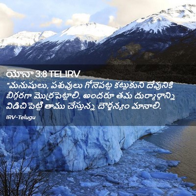 Picture 02 - యోనా 3:8 TELIRV - “మనుషులు, పశువులు - Bible Verse Picture