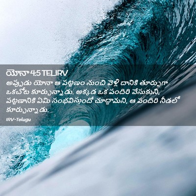 Picture 02 - యోనా 4:5 TELIRV - అప్పుడు యోనా ఆ - Bible Verse Picture