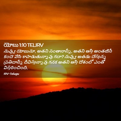 Picture 02 - యోబు 1:10 TELIRV - నువ్వు యోబునూ, - Bible Verse Picture