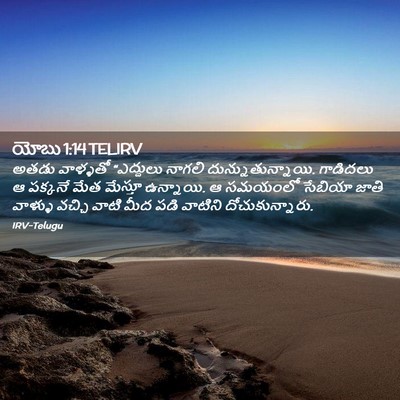 Picture 02 - యోబు 1:14 TELIRV - అతడు వాళ్ళతో - Bible Verse Picture