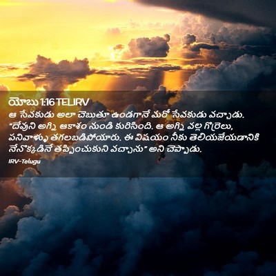 Picture 02 - యోబు 1:16 TELIRV - ఆ సేవకుడు అలా - Bible Verse Picture