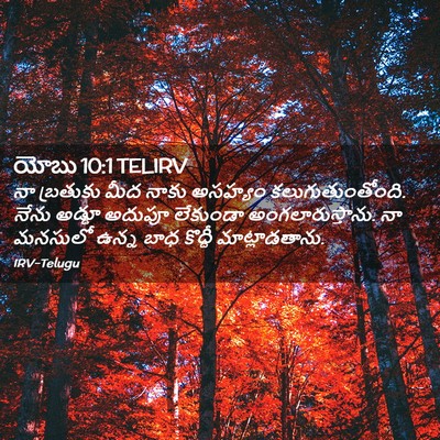 Picture 02 - యోబు 10:1 TELIRV - నా బ్రతుకు మీద - Bible Verse Picture