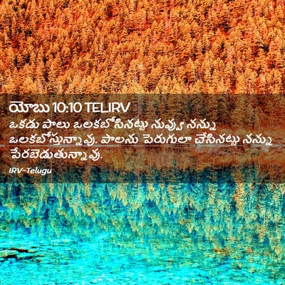 Picture 02 - యోబు 10:10 TELIRV - ఒకడు పాలు - Bible Verse Picture