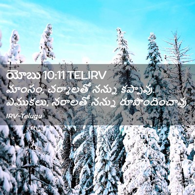 Picture 02 - యోబు 10:11 TELIRV - మాంసం, చర్మాలతో - Bible Verse Picture