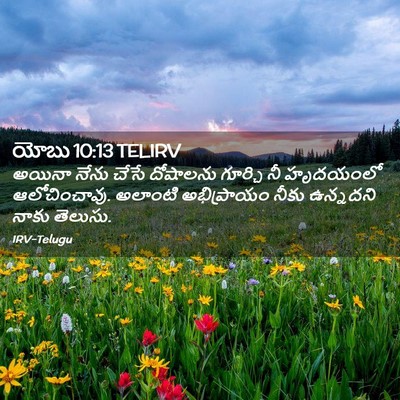 Picture 02 - యోబు 10:13 TELIRV - అయినా నేను చేసే - Bible Verse Picture