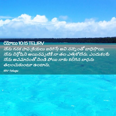 Picture 02 - యోబు 10:15 TELIRV - నేను గనక పాప - Bible Verse Picture