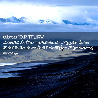 Picture 02 - యోబు 10:17 TELIRV - ఎడతెగని నీ కోపం - Bible Verse Picture