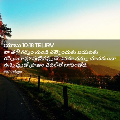 Picture 02 - యోబు 10:18 TELIRV - నా తల్లి గర్భం - Bible Verse Picture