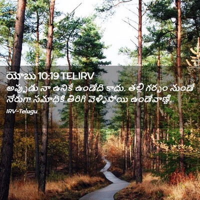 Picture 02 - యోబు 10:19 TELIRV - అప్పుడు నా ఉనికే - Bible Verse Picture