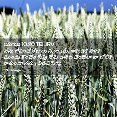 Picture 02 - యోబు 10:20 TELIRV - నేను జీవించే - Bible Verse Picture