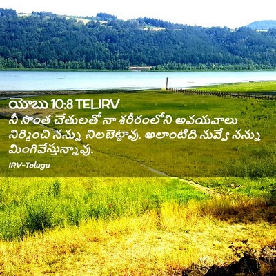 Picture 02 - యోబు 10:8 TELIRV - నీ సొంత చేతులతో నా - Bible Verse Picture