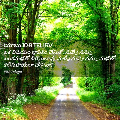 Picture 02 - యోబు 10:9 TELIRV - ఒక విషయం జ్ఞాపకం - Bible Verse Picture