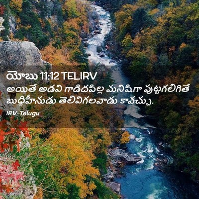 Picture 02 - యోబు 11:12 TELIRV - అయితే అడవి - Bible Verse Picture
