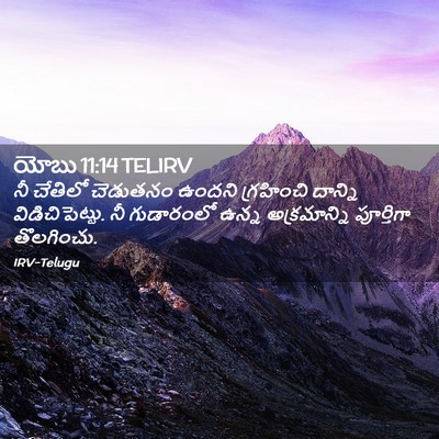 Picture 02 - యోబు 11:14 TELIRV - నీ చేతిలో చెడుతనం - Bible Verse Picture