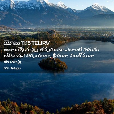Picture 02 - యోబు 11:15 TELIRV - అలా చేస్తే నువ్వు - Bible Verse Picture