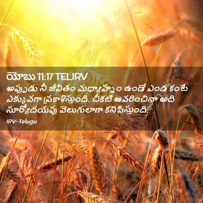Picture 02 - యోబు 11:17 TELIRV - అప్పుడు నీ జీవితం - Bible Verse Picture