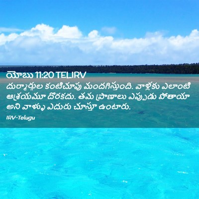 Picture 02 - యోబు 11:20 TELIRV - దుర్మార్గుల - Bible Verse Picture