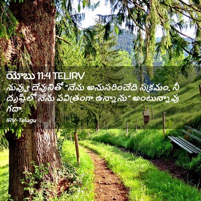 Picture 02 - యోబు 11:4 TELIRV - నువ్వు దేవునితో - Bible Verse Picture