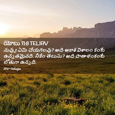 Picture 02 - యోబు 11:8 TELIRV - నువ్వు ఏమి - Bible Verse Picture