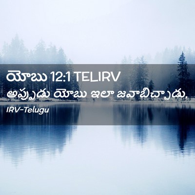 Picture 02 - యోబు 12:1 TELIRV - అప్పుడు యోబు ఇలా - Bible Verse Picture