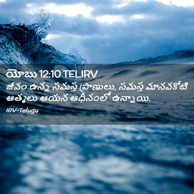 Picture 02 - యోబు 12:10 TELIRV - జీవం ఉన్న సమస్త - Bible Verse Picture