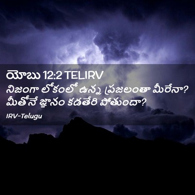 Picture 02 - యోబు 12:2 TELIRV - నిజంగా లోకంలో - Bible Verse Picture