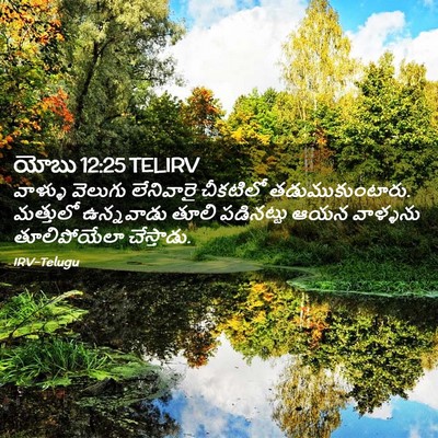 Picture 02 - యోబు 12:25 TELIRV - వాళ్ళు వెలుగు - Bible Verse Picture
