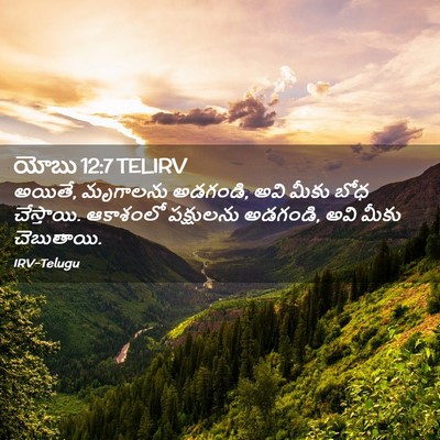 Picture 02 - యోబు 12:7 TELIRV - అయితే, మృగాలను - Bible Verse Picture