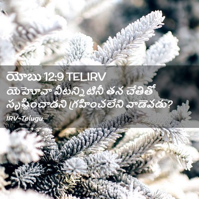 Picture 02 - యోబు 12:9 TELIRV - యెహోవా - Bible Verse Picture