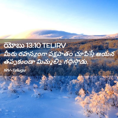 Picture 02 - యోబు 13:10 TELIRV - మీరు రహస్యంగా - Bible Verse Picture