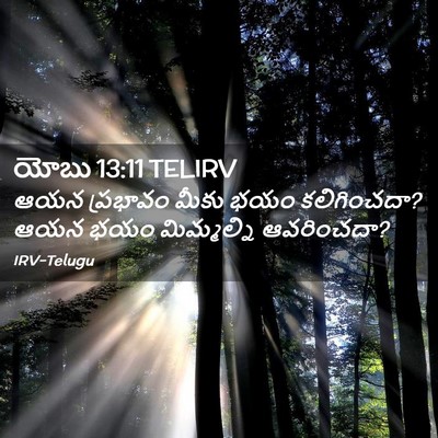 Picture 02 - యోబు 13:11 TELIRV - ఆయన ప్రభావం మీకు - Bible Verse Picture