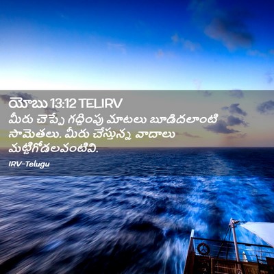 Picture 02 - యోబు 13:12 TELIRV - మీరు చెప్పే - Bible Verse Picture