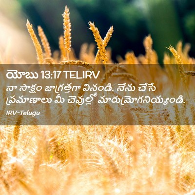 Picture 02 - యోబు 13:17 TELIRV - నా సాక్షం - Bible Verse Picture