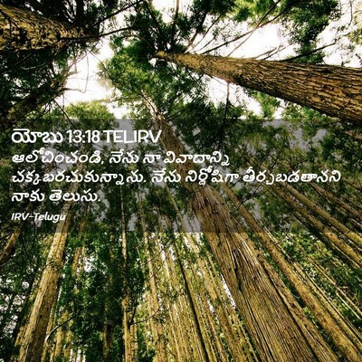 Picture 02 - యోబు 13:18 TELIRV - ఆలోచించండి, నేను - Bible Verse Picture