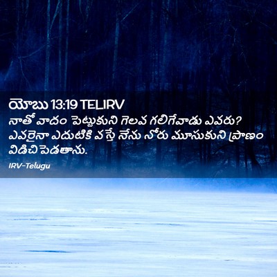 Picture 02 - యోబు 13:19 TELIRV - నాతో వాదం - Bible Verse Picture