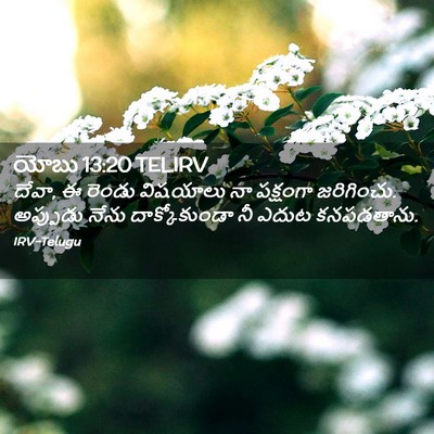 Picture 02 - యోబు 13:20 TELIRV - దేవా, ఈ రెండు - Bible Verse Picture
