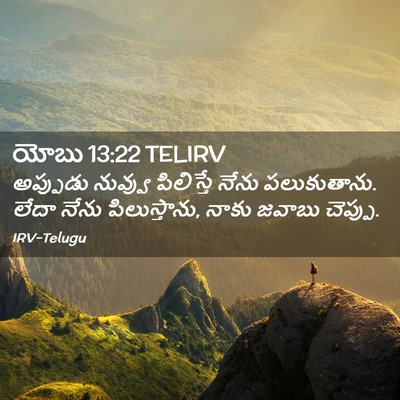 Picture 02 - యోబు 13:22 TELIRV - అప్పుడు నువ్వు - Bible Verse Picture