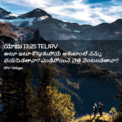 Picture 02 - యోబు 13:25 TELIRV - అటూ ఇటూ - Bible Verse Picture