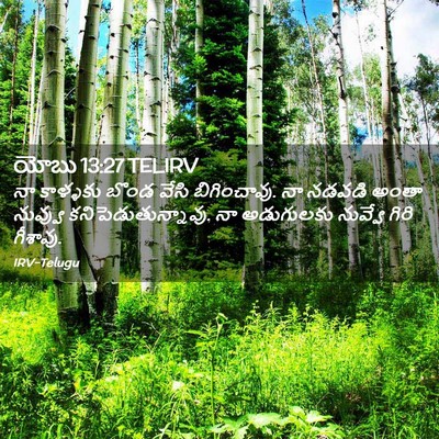 Picture 02 - యోబు 13:27 TELIRV - నా కాళ్ళకు బొండ - Bible Verse Picture